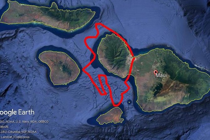 Maui Whale Watching -PRIVATE- Air Tour: (2-5 People): SEE WHALES! - How long is it, and what the pace feels like
