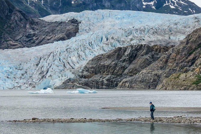 Mendenhall Glacier Visitor Center and Ultimate Whale Watch Combo - Whale Watching in Juneau: What You Can Expect and What Changes Your Odds