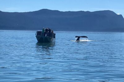 Mendenhall Glacier Waterfall and Whale Watching Tour - Nugget Falls hike: short, easy, and photo-friendly