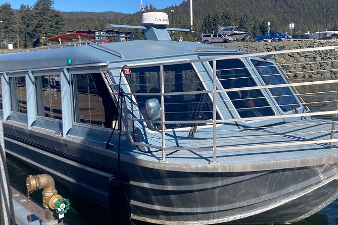 Mendenhall Glacier Waterfall and Whale Watching Tour - Auke Bay jet boat whale watching: where the sightings come alive
