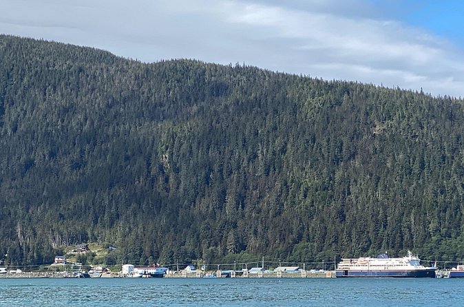 Mendenhall Glacier Waterfall and Whale Watching Tour - Snacks, binoculars, and the comfort details that matter