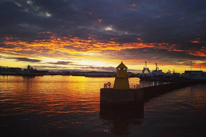 Midnight Sun Whale Watching from Reykjavik - The Try-Again Guarantee: A Big Part of the Value