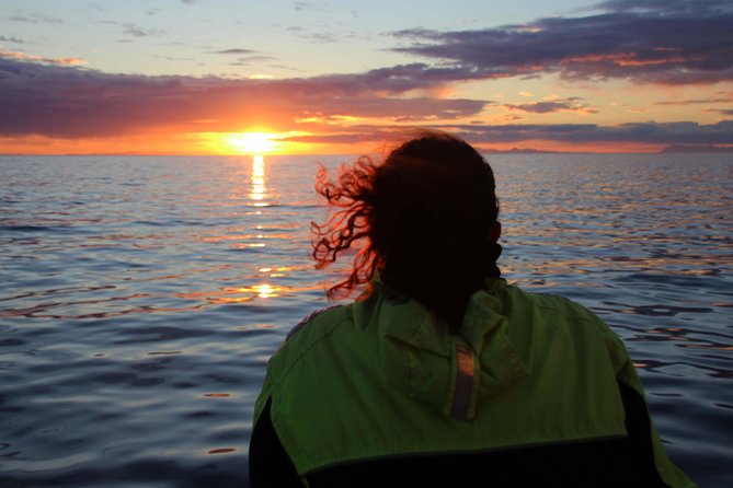 Midnight Sun Whale Watching from Reykjavik - How the Route Works: Old Harbour, Then Out to the Bay