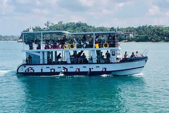 Mirissa Whale & Dolphin Watching Cruise with Geeth’s Crew - Key things I’d pay attention to