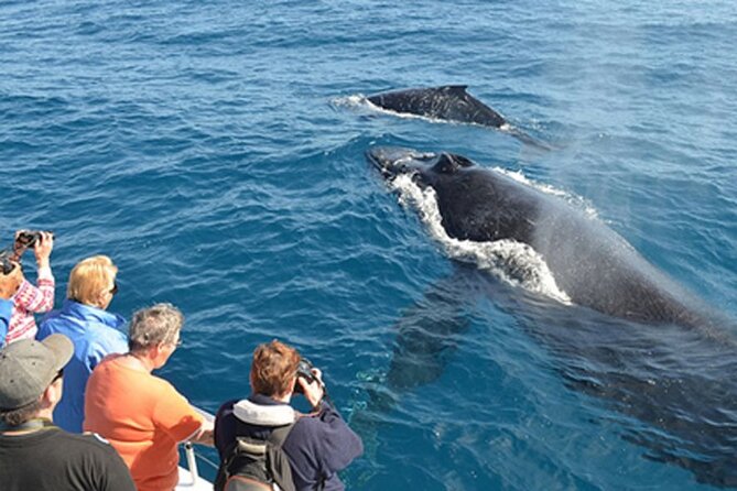 Mirissa Whale & Dolphin Watching Cruise with Geeth’s Crew - Breakfast onboard: more than a nice extra