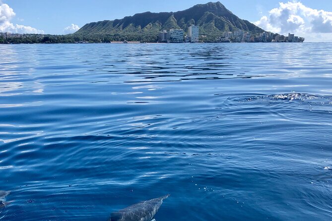 Moana’s Waikīkī Whale Watching Exploration - Price and value: $154.99 for 2.5 hours, but you’re paying for more