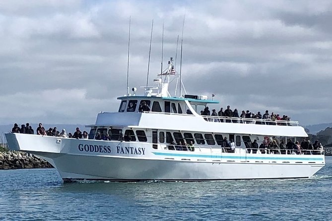 Monterey Bay Whale Watching - Why Moss Landing is the smart place to chase whales