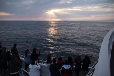 Monterey Whale Watching Tour - Monterey Whale Watching That Actually Uses the Bay’s Superpowers