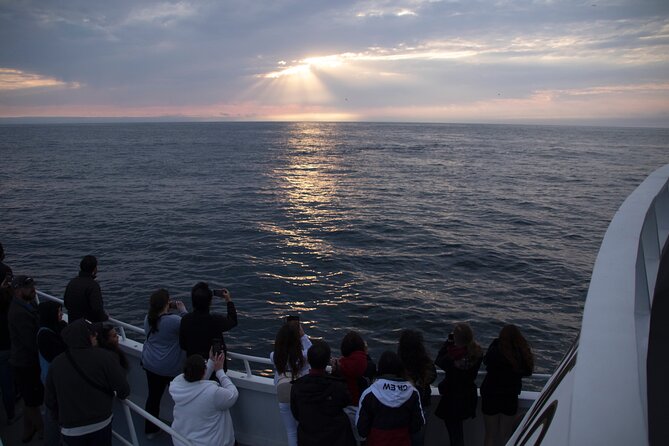 Monterey Whale Watching Tour - Monterey Whale Watching That Actually Uses the Bay’s Superpowers
