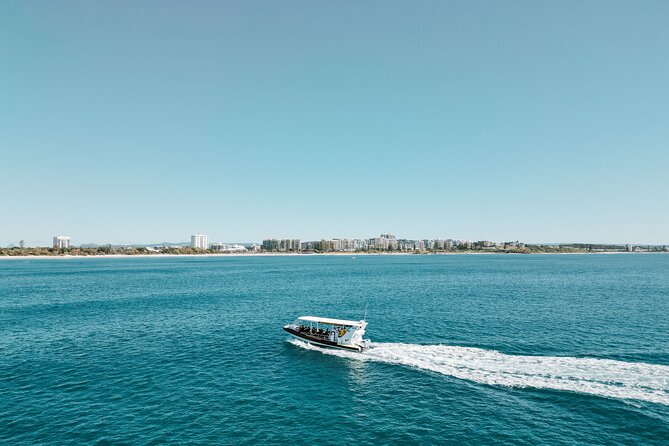 Mooloolaba Whale Watching – Small Group Tour - Underwater Camera Experience: Seeing More Than Surface Splashes