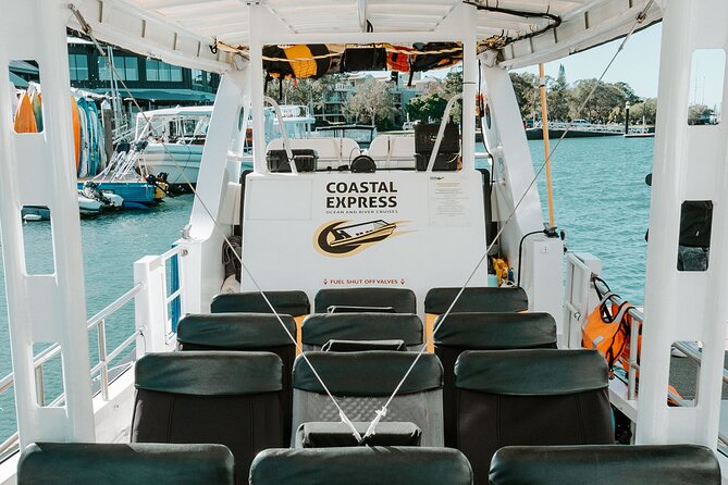 Mooloolaba Whale Watching – Small Group Tour - How the Crew Helps You Improve Your Odds