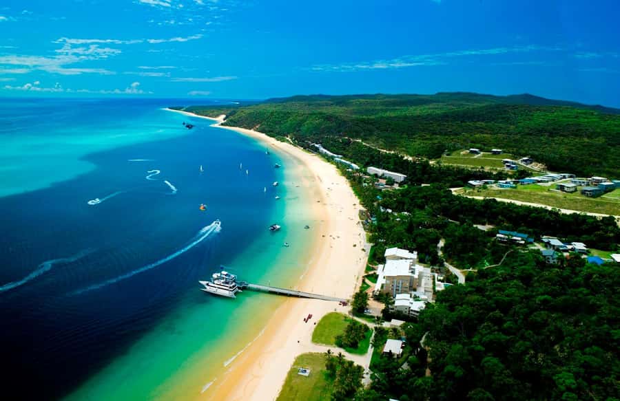 Moreton Island: Tangalooma Whale Watching & Dolphin Viewing - Discover the World of Dolphins: presentation + optional pacing before the jetty viewing