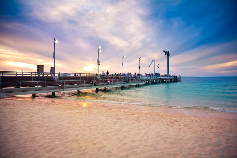 Moreton Island: Tangalooma Whale Watching & Dolphin Viewing - Motion, comfort, and health notes: make the day easier on your body