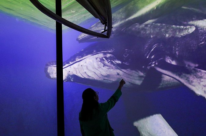 Munba National interactive Whale Museum - The Children’s Zone: A Family-Friendly Advantage