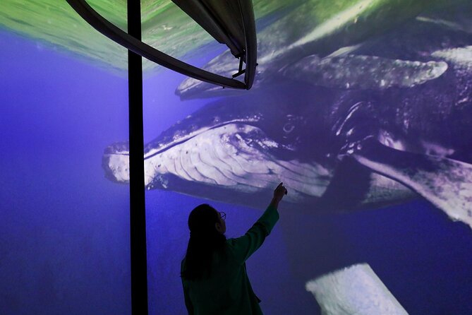 Munba National interactive Whale Museum - Café Stop and How Your Ticket Fits Into Conservation