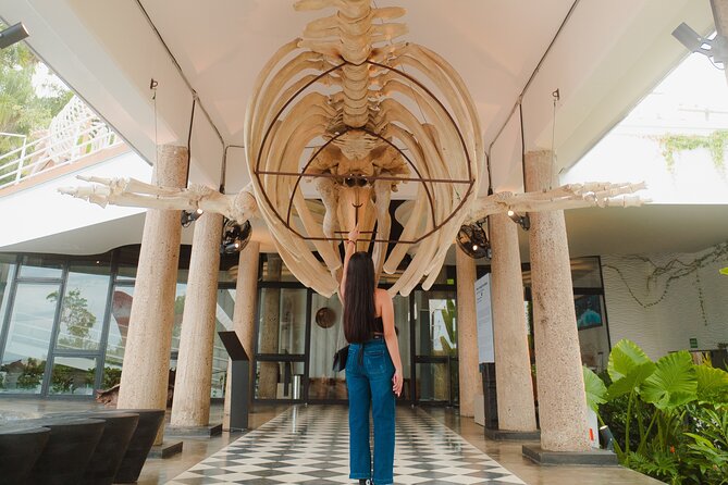 Munba National interactive Whale Museum - Who Should Book MUNBA (And Who Might Find It Too Short)