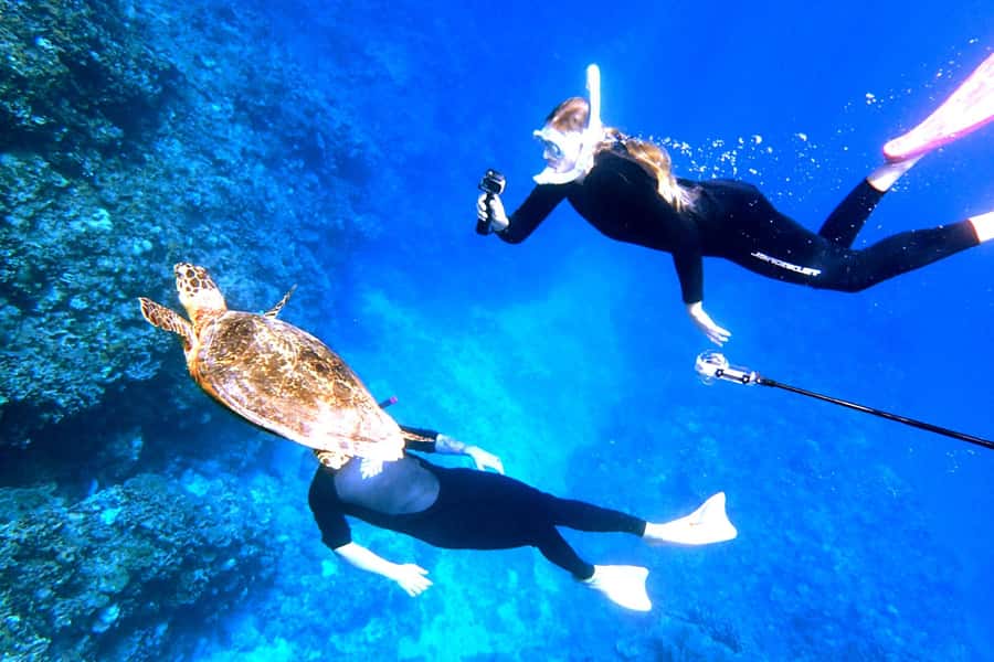 Naha:Kerama Island Experience Dive/Snorkeling/Whale Watching - Key highlights you’ll care about