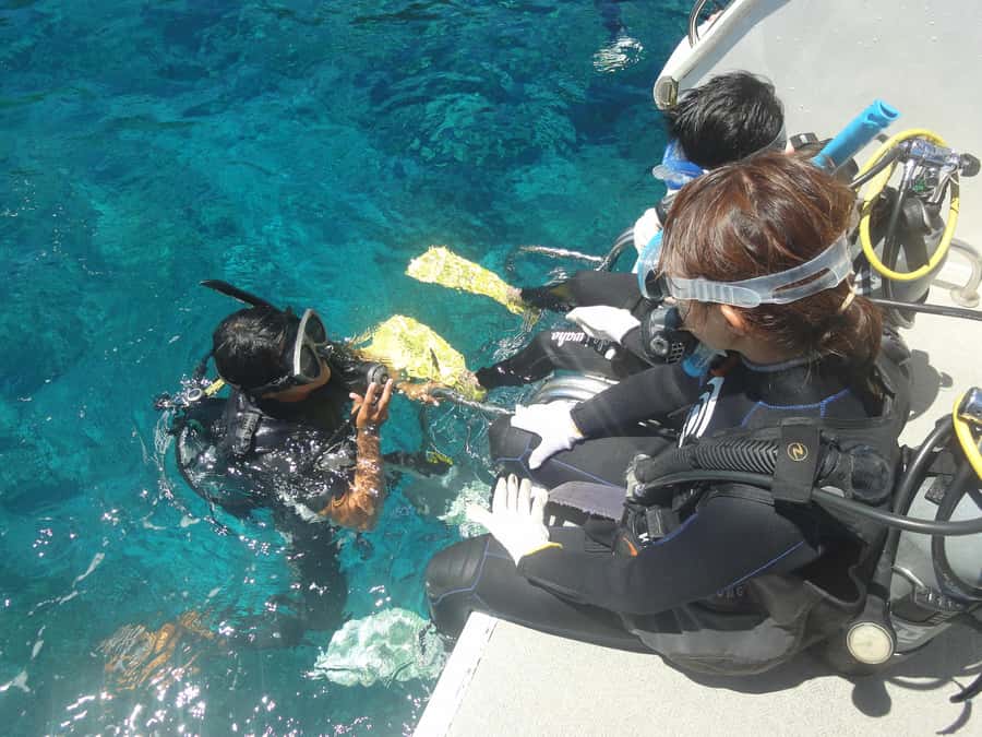 Naha:Kerama Island Experience Dive/Snorkeling/Whale Watching - Booking-season perks: shaved ice and swim rings
