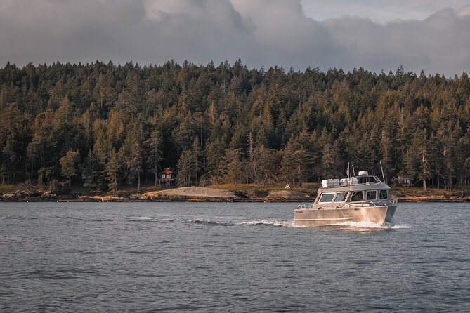 Nanaimo Whale Watching in a Semi-Covered Boat - The boat setup: semi-covered comfort on Kula