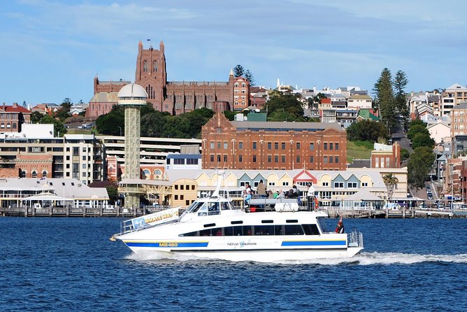 Newcastle Whale Watching Cruise - How the 2.5–3 hour schedule plays out in real life