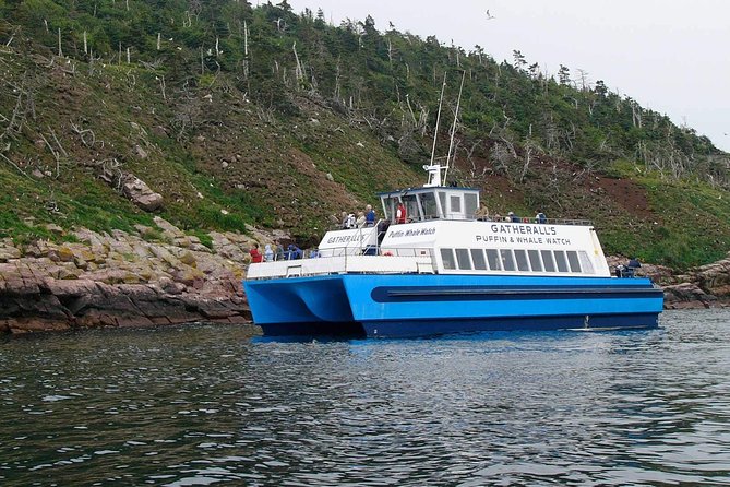 Newfoundland Puffin and Whale Watch Cruise - The cruise route: Iceberg Alley to the reserve’s sheltered islands