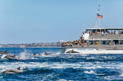 Newport Beach: 2-Hour Whale Watching Tour - What the 2-hour cruise actually feels like: Balboa to The Wedge