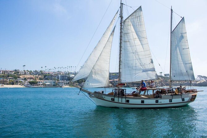 Newport Beach Whale and Dolphin Watching Cruise - Key points before you book