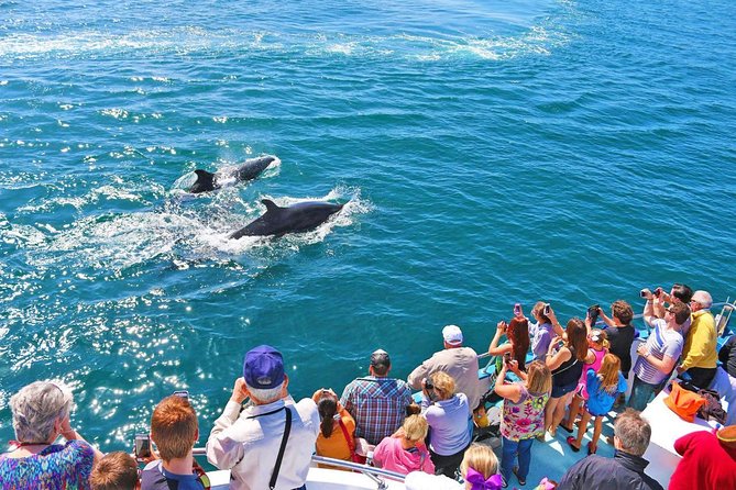 Newport Beach Whale and Dolphin Watching Cruise - How the timing works on the water (and why Stop 1 and Stop 2 are both Newport)