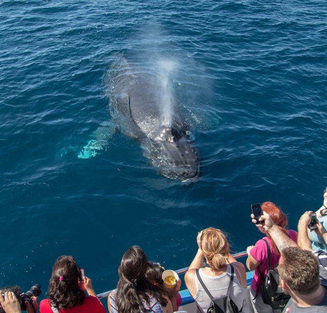 Newport Beach: Year-Round Whale Watching Cruise - The Route: Balboa Island to The Wedge (and Why Each Stop Matters)