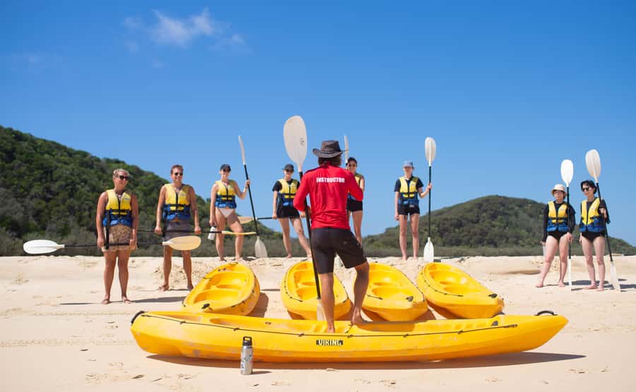 Noosa: Epic Whale Watching Ocean Kayak Tour & Beach 4X4 - The 2-hour whale watching on the water (and why it’s not guaranteed)