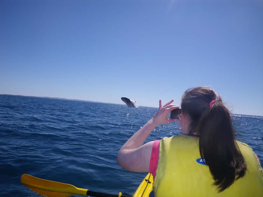 Noosa: Epic Whale Watching Ocean Kayak Tour & Beach 4X4 - Swimming and beach relaxation: the smart comfort break