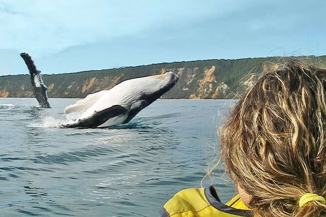 Noosa: Epic Whale Watching On Ocean Kayaks & Beach 4X4 Tour - Key highlights worth knowing