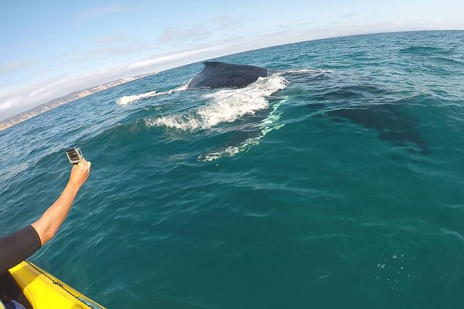 Noosa: Epic Whale Watching On Ocean Kayaks & Beach 4X4 Tour - The 4x4 beach drive: the secret to getting to the quieter coast
