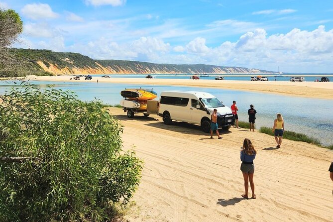 Noosa: Epic Whale Watching On Ocean Kayaks & Beach 4X4 Tour - Wildlife odds: whales, dolphins, turtles, rays, and seabirds