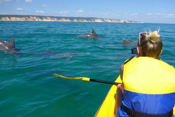 Noosa: Epic Whale Watching On Ocean Kayaks & Beach 4X4 Tour - Your day’s flow: from J Noosa60 to Great Sandy National Park
