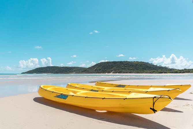 Noosa: Epic Whale Watching On Ocean Kayaks & Beach 4X4 Tour - Who this tour suits best (and who should think twice)