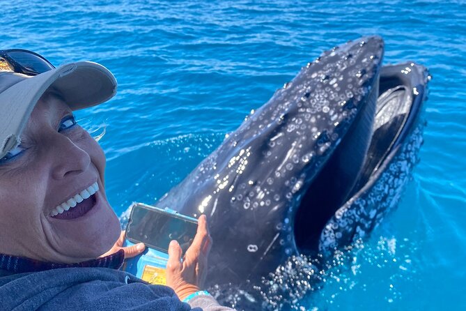 Noosa Ocean Adventures: Whale Watch - Price and what you’re really paying for