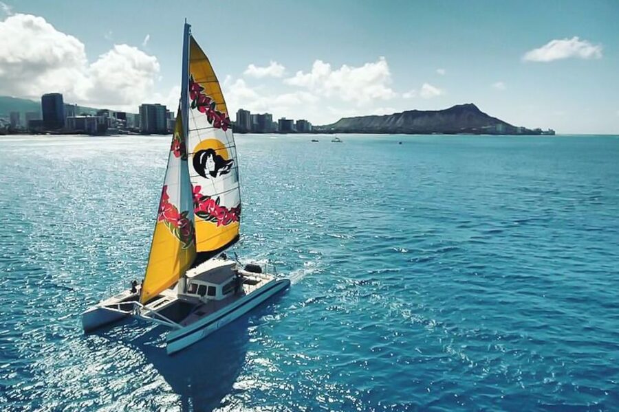 Oahu: Waikiki Eco-Friendly Morning Whale Watching Cruise - Key reasons this whale watch in Waikiki is worth your morning