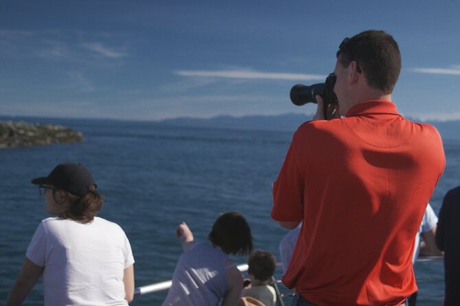Only Wildlife and Whale Watching Tour Leaving from Seattle - Salish Sea wildlife search: your real shot at orcas and humpbacks