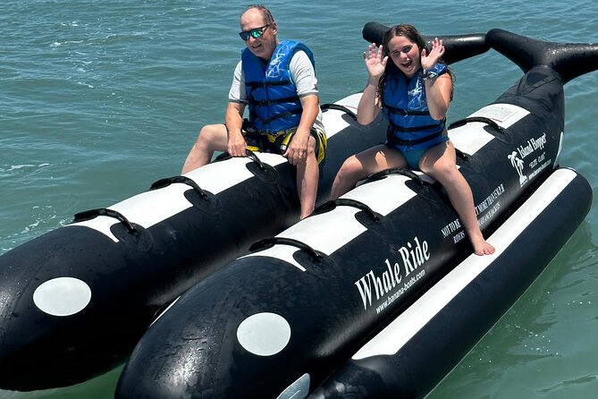 Orca Whale Inflatable Rides - Key highlights you’ll actually care about