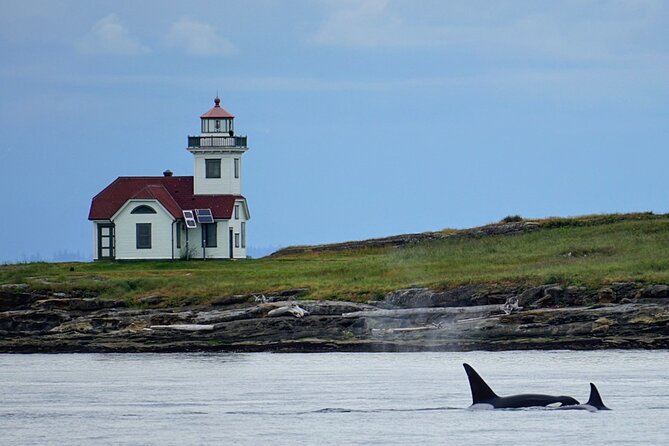 Orca whale tour near Seattle - Anacortes Departure at 3:00 pm: Your Starting Point Near Seattle