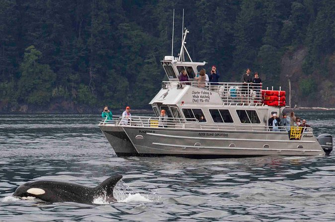 Orcas Island Whale Watching - Boat comfort, layers, and who this tour fits best