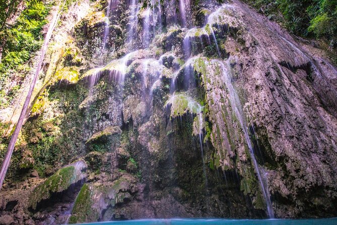 Oslob Whale Shark Private Tour with Sumilon & Tumalog Falls - What you really get for $198.45 per person