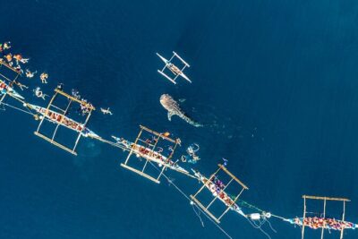 Oslob Whale Shark Private Tour with Sumilon & Tumalog Falls - Sumilon Island: a tropical reset between swims