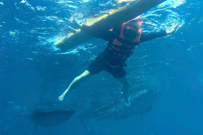 Oslob Whale Shark Snorkeling & Kawasan Canyoning Tour - Kawasan Falls canyoning: slides, jumps, and a guide who keeps you moving