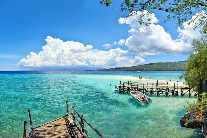 Oslob Whale Shark & Tumalog Waterfalls & Sumilon Sandbar - Oslob Whale Sharks: The Real Experience (and the One Thing You Can’t Control)