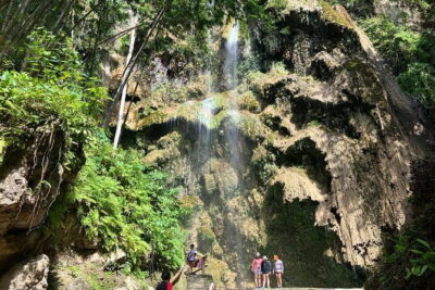 Oslob Whale Shark & Tumalog Waterfalls & Sumilon Sandbar - Snorkeling Setup: What’s Included and What You Might Add
