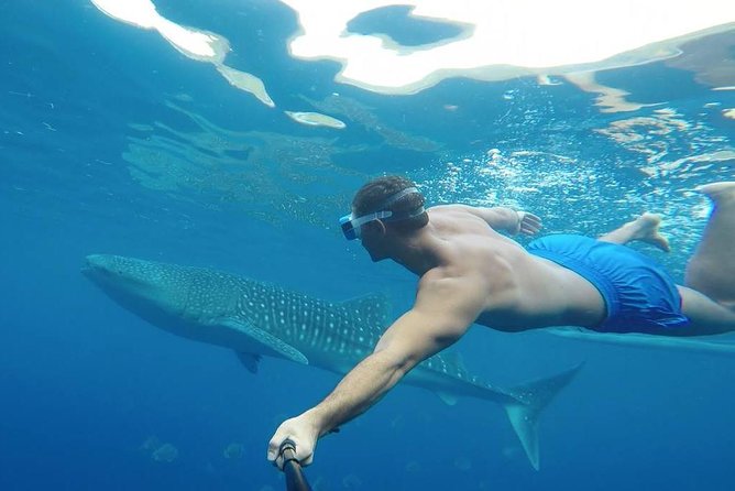 Oslob Whale Shark Watching - The human factor: guides and drivers make a difference