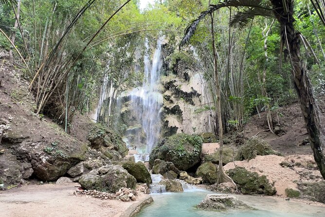 Oslob Whale Shark Watching + Kawasan Falls Day Tour - Why This Oslob + Kawasan Falls Combo Works So Well