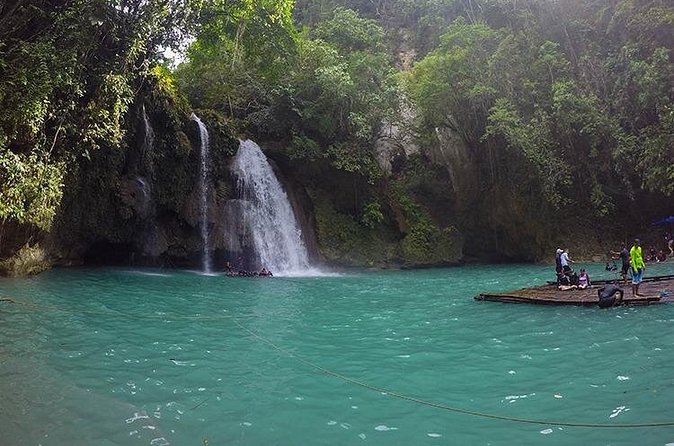 Oslob Whale Shark Watching + Kawasan Falls Day Tour - The Dolphin-Style Wonder, Without the Confusion